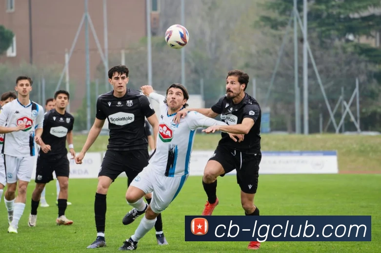 老哥俱乐部官网平台生态图